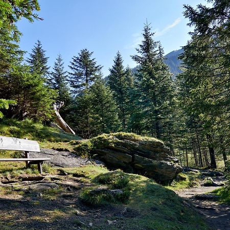 Ferienwohnung Innerhofer Hollersbach im Pinzgau Ngoại thất bức ảnh
