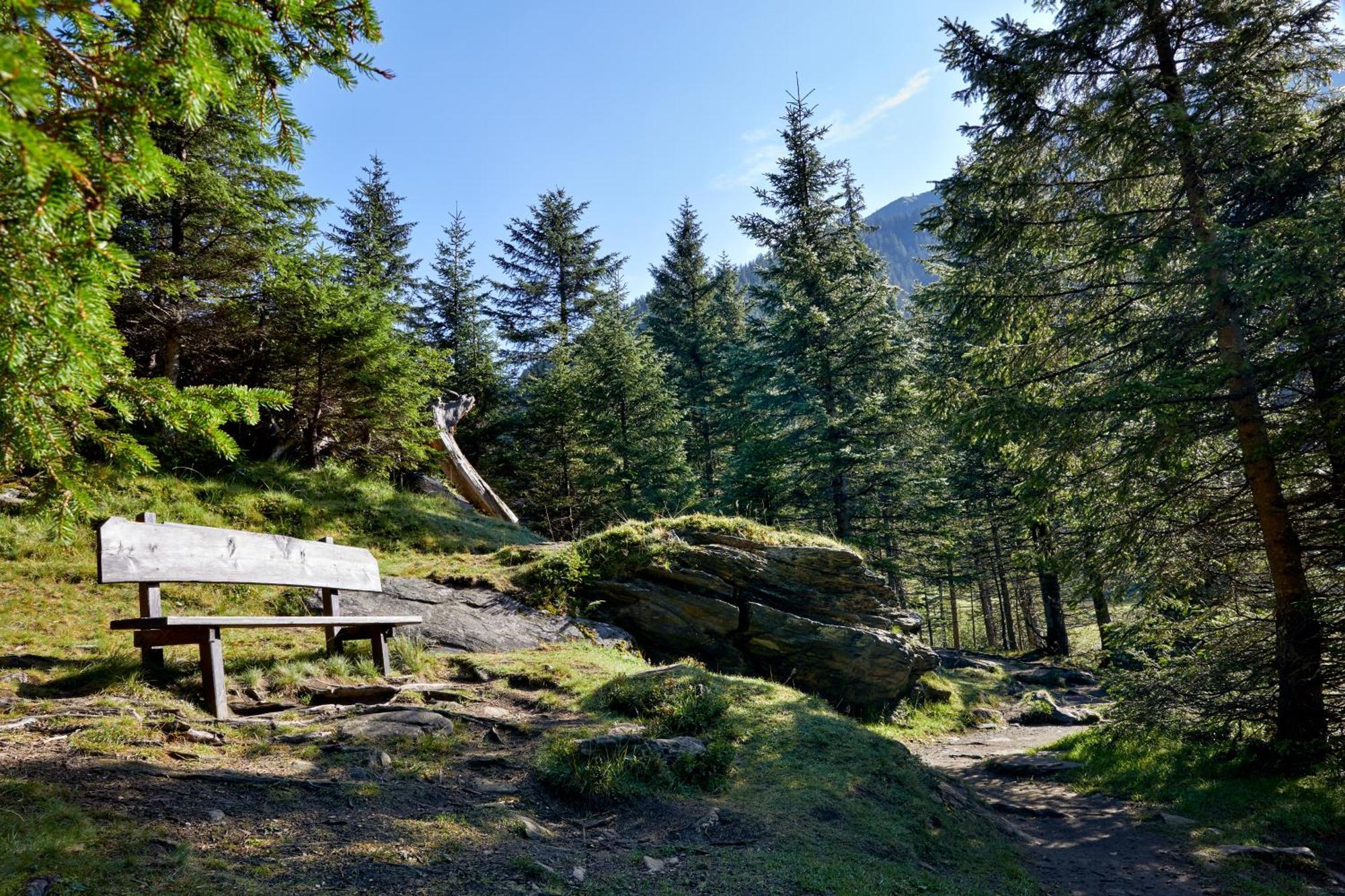 Ferienwohnung Innerhofer Hollersbach im Pinzgau Ngoại thất bức ảnh