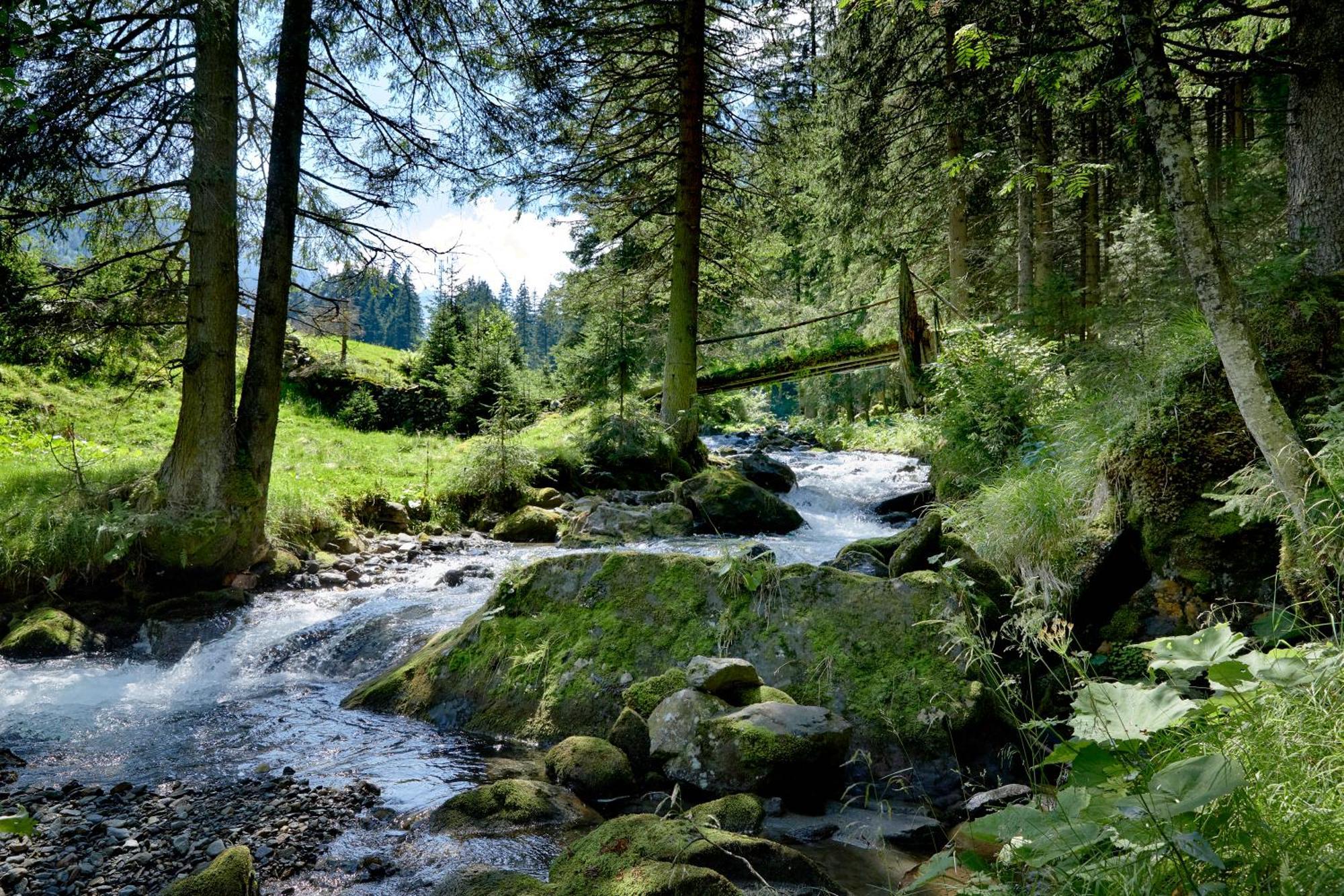 Ferienwohnung Innerhofer Hollersbach im Pinzgau Ngoại thất bức ảnh